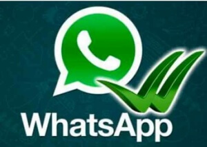 Image WhatsApp