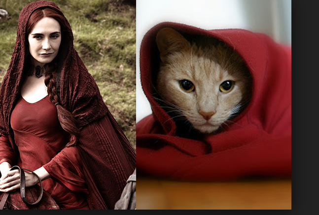 Animals that look like Game of Thrones characters