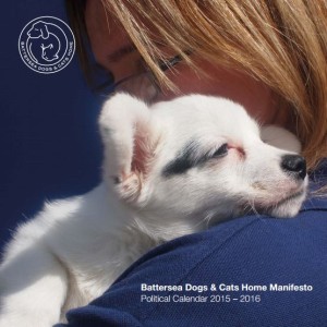 Battersea Dogs home political manifesto of a dog being cuddled by someone