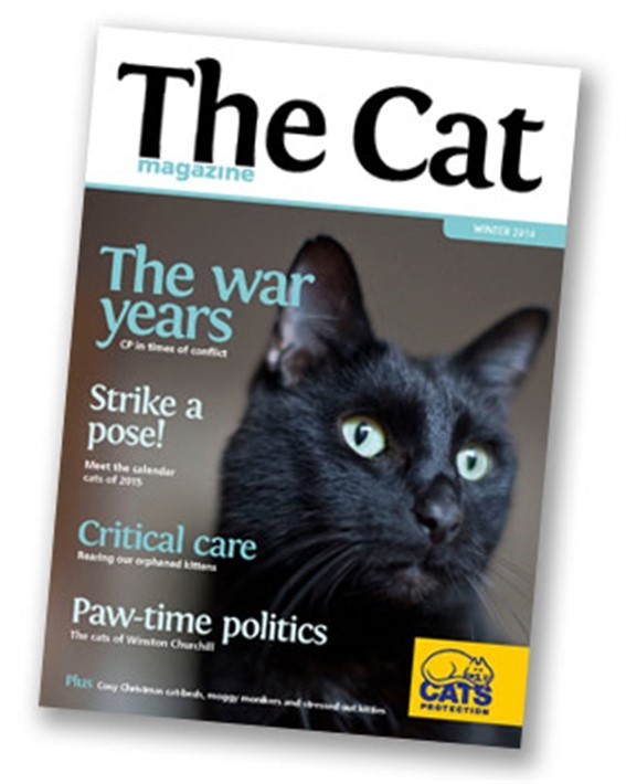 Cats protection - The Cat magazine featuring a black cat with blue eyes on the front page