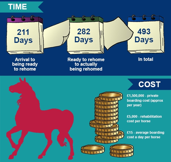 RSPCA Home for Horses infographic featuring a horse and some coins on the front