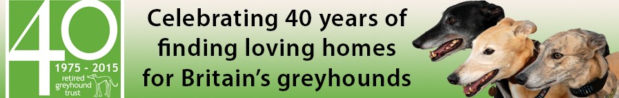 Retired Greyhound Trust - Celebrating 40 years of finding loving homes for Britain's greyhounds
