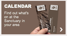 The Donkey Santuary event calendar with a grey background with a tickets graphic on the front