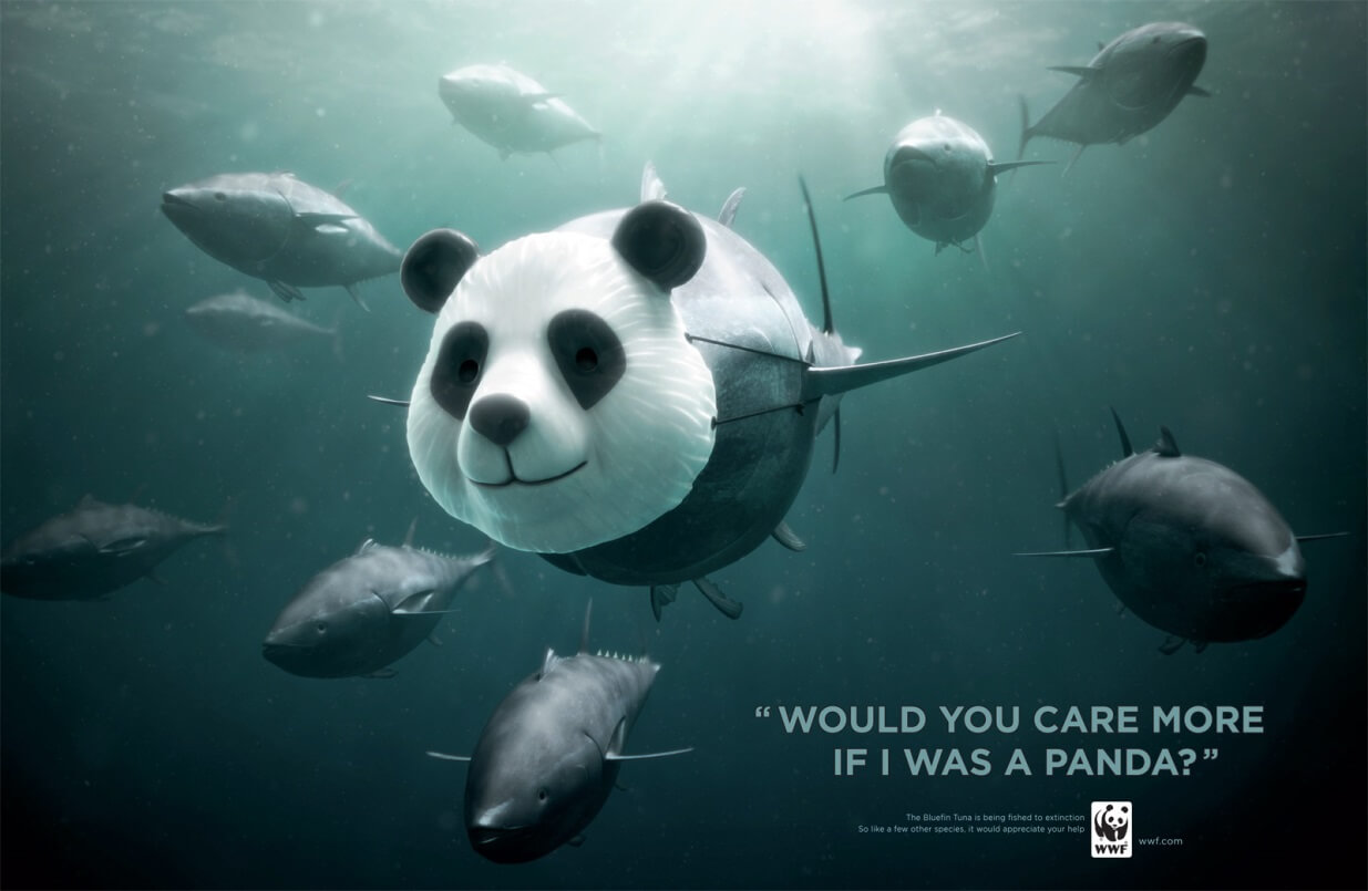 WWF Panda Tuna Campaign 