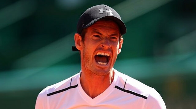 Andy Murray tennis player