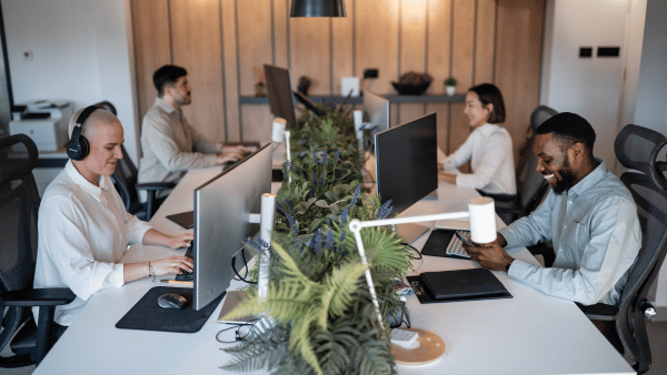 Group of people sitting at desks in office - The PHA Group