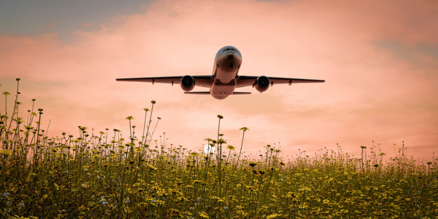 Airplane flying over a field against a sunset sky - The PHA Group
